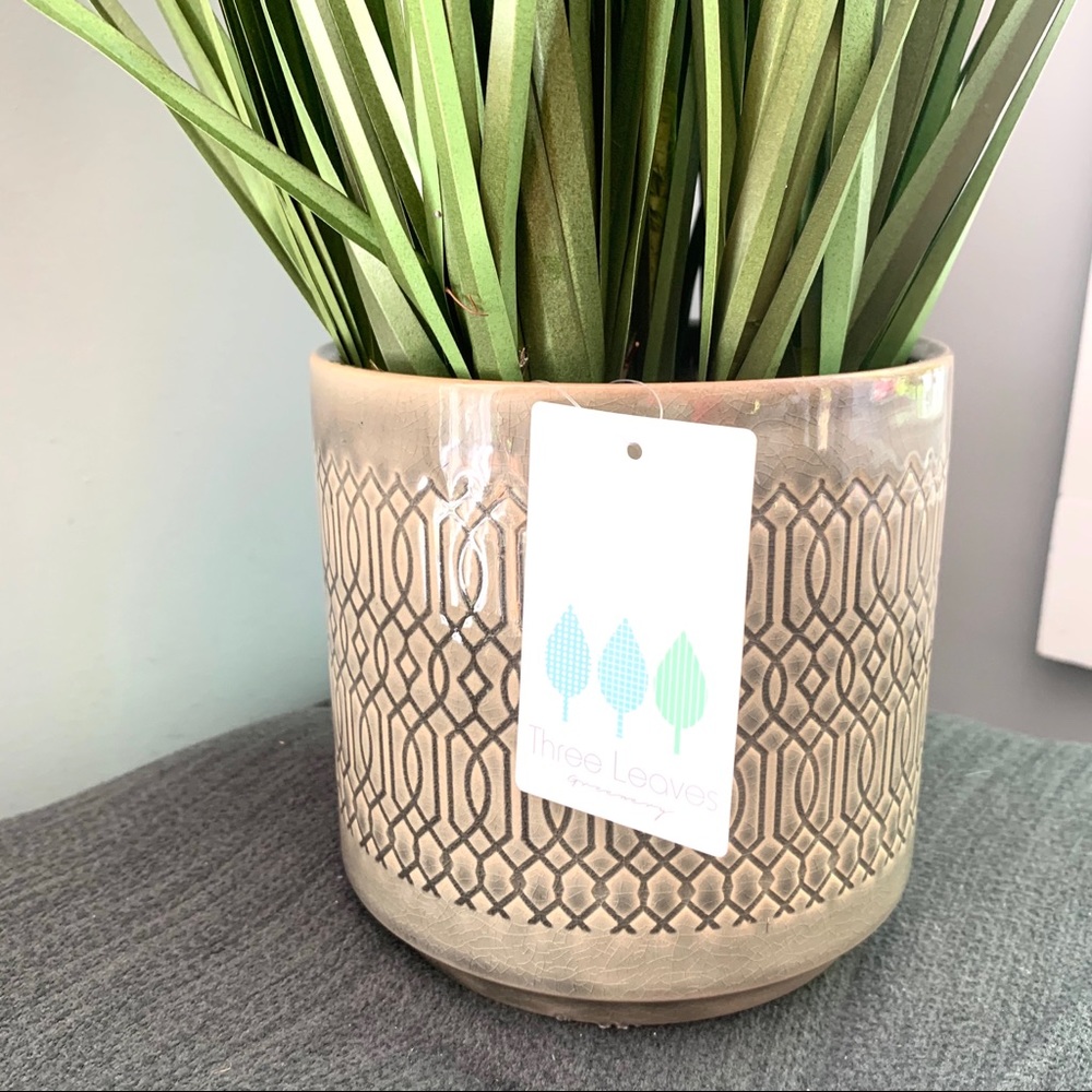 NWT elegant tall grass plant in ceramic pot - Picture 3 of 4